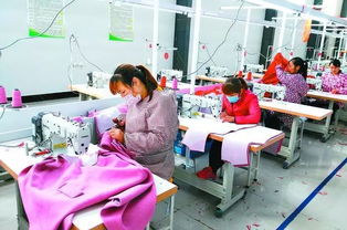 丹陽(yáng)聯(lián)村黨委實(shí)踐 圍繞主導(dǎo)產(chǎn)業(yè)發(fā)展集體經(jīng)濟(jì)，提升農(nóng)副產(chǎn)品競(jìng)爭(zhēng)力