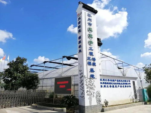 紓難解困，精準(zhǔn)服務(wù) 賦能農(nóng)副產(chǎn)品企業(yè)高質(zhì)量發(fā)展